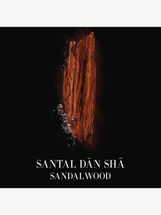 Actual product image Giorgio Armani Santal Dān Shā Eau de Toilette (Eau de toilette, 100 ml)