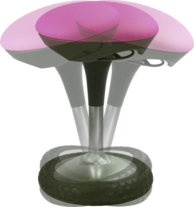 Image du produit Topstar Sitness 20