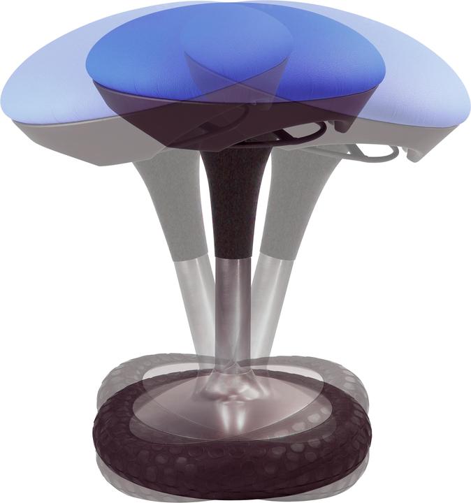 Actual product image Topstar Sitness 20