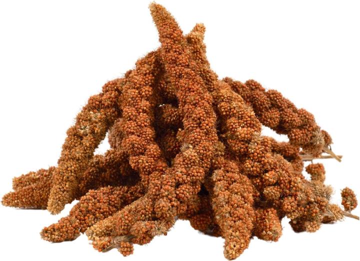 Lyra Pet Millet en épi (1 x, 1 kg)