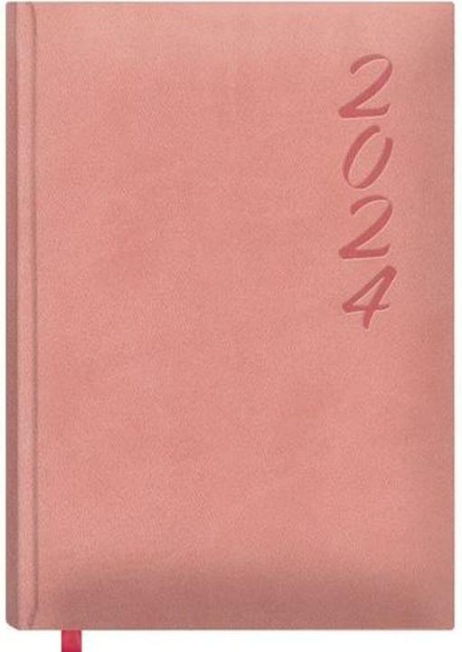 Actual product image Dohe Agenda BRASILIA 2024 Annual Pink 15 x 21 cm (15 x 21 cm)