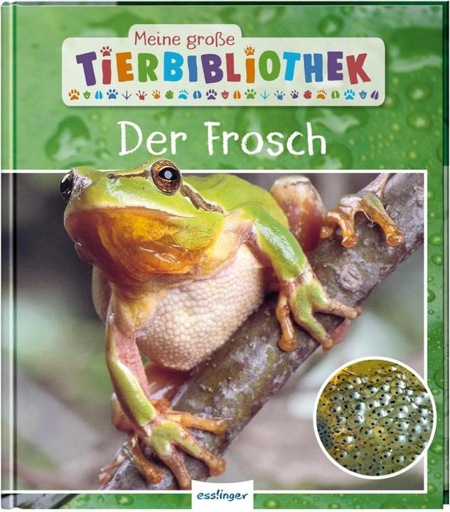Produktbild Meine grosse Tierbibliothek: Der Frosch (Deutsch, Paul Starosta, 2020)