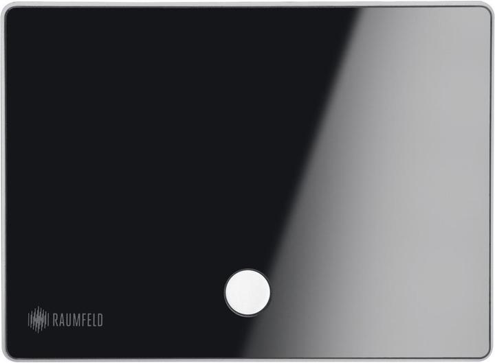 Actual product image Teufel Raumfeld Connector (Wi-Fi)
