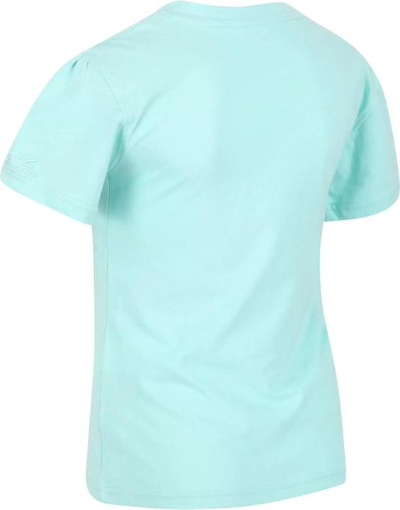 Actual product image Regatta Bosley V Tshirt (104)