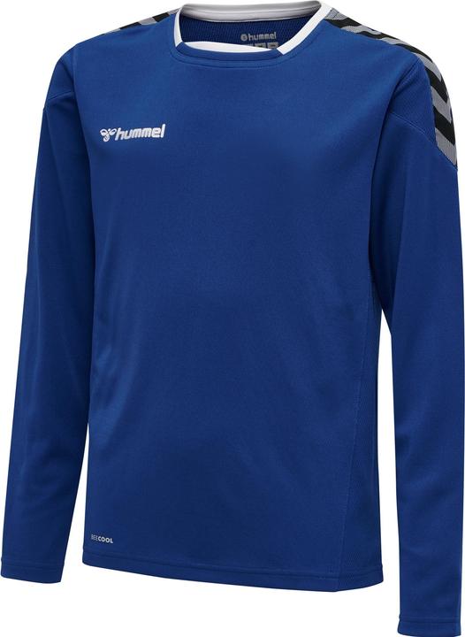 hummel Authentic Kids Poly Jersey L/S (152)