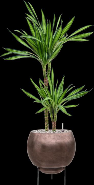 Produktbild Baq Design Metallic Silver Leaf Globe Elevated (34 cm)