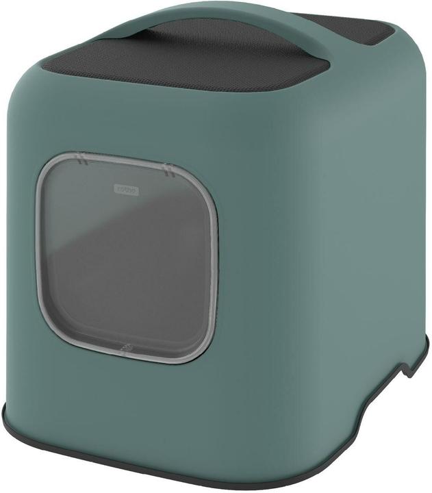 Verde vischio