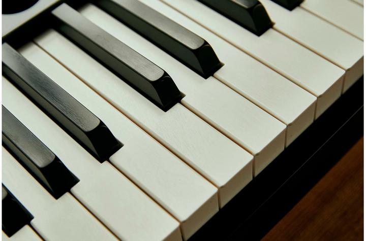 Image du produit Casio Privia PX-S5000 (88 Boutons)