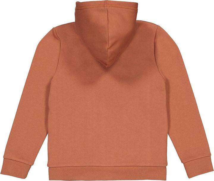 Produktbild La Redoute Collections Sweatjacke (102)