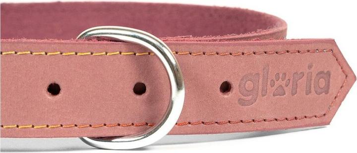 Image du produit Gloria Collier pour chien Oasis Rose 70 cm (70 x 3 cm) (ABS)