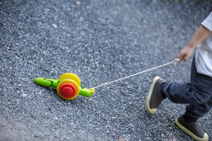 Immagine prodotto Plantoys Vite di trascinamento
