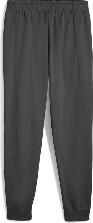 Actual product image Puma ESS ELEVATED Pants FL cl (S)
