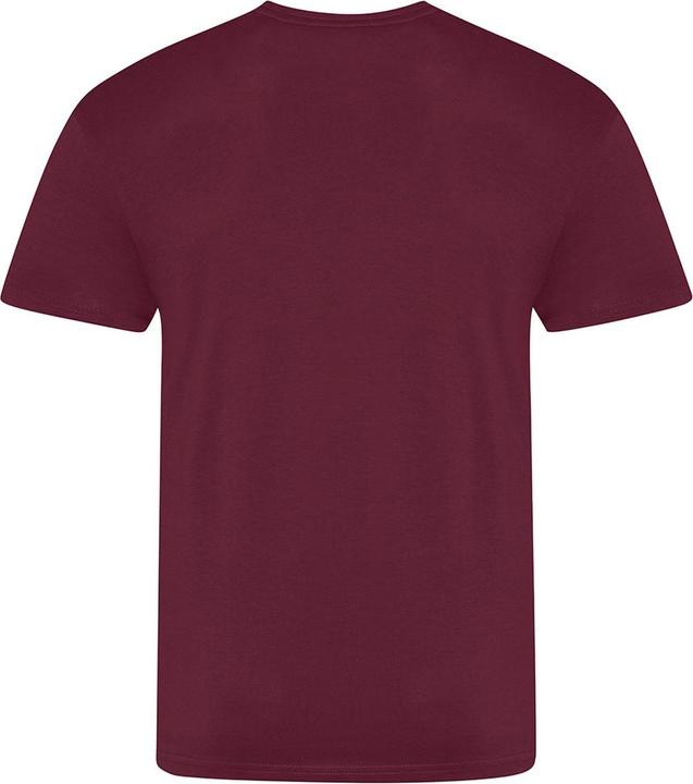 Actual product image Awdis The 100 Tshirt (M)