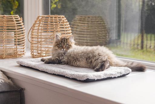 Produktbild Beeztees Fensterbankmatte Moos (Katze)