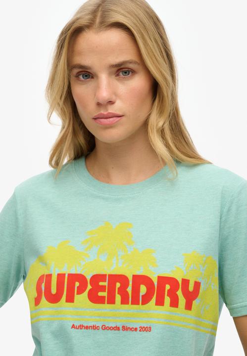 Actual product image Superdry Outdoor Stripe Relaxed Tee (14)