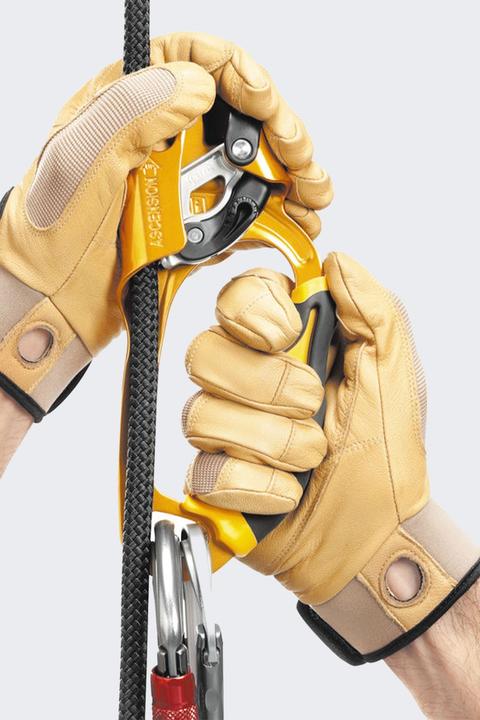 Image du produit Petzl Droit de l'Ascension