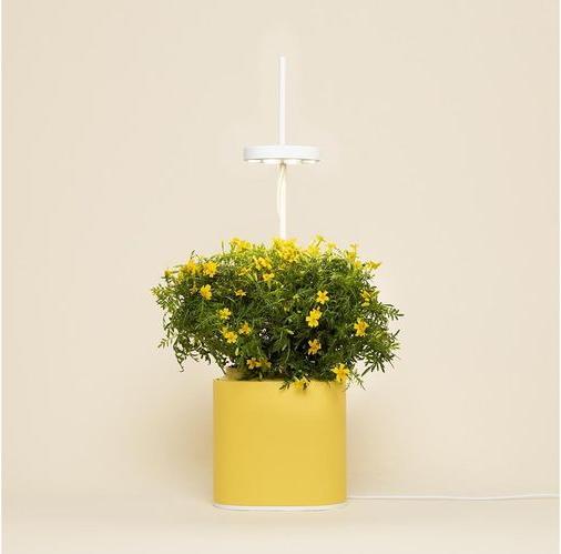 Image du produit Prêt à Pousser Pot pour herbes aromatiques Nano, Mimosa Yellow (13.50 cm)