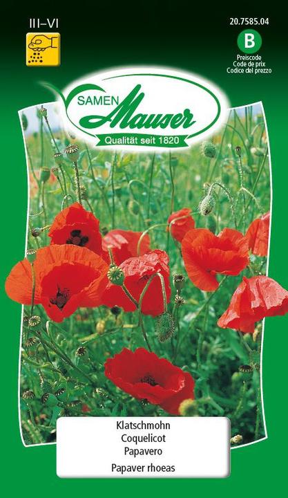 Image du produit Samen Mauser Coquelicot de maïs (Graines de plantes)