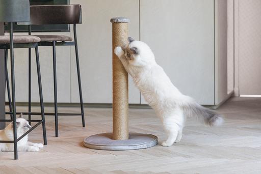 Actual product image Designed by Lotte Yenna (70 cm, Grey)