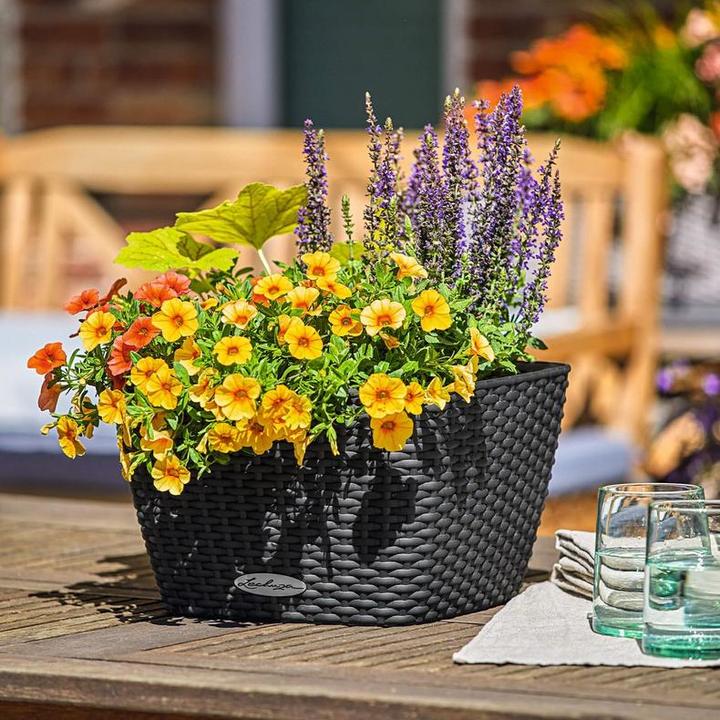 Actual product image Lechuza BACINO Cottage (30 cm)