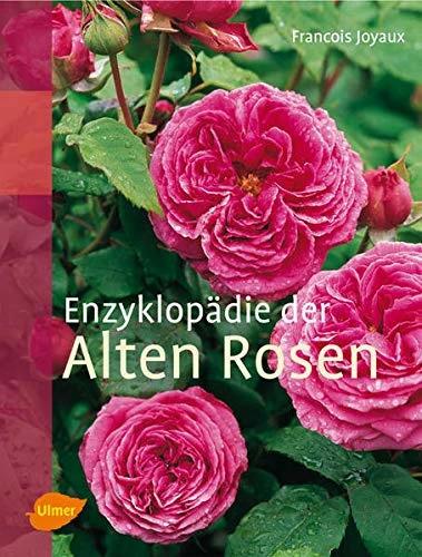 Produktbild Enzyklopädie der Alten Rosen (Deutsch, Claudia Arlinghaus, Francois Joyaux, 2008)