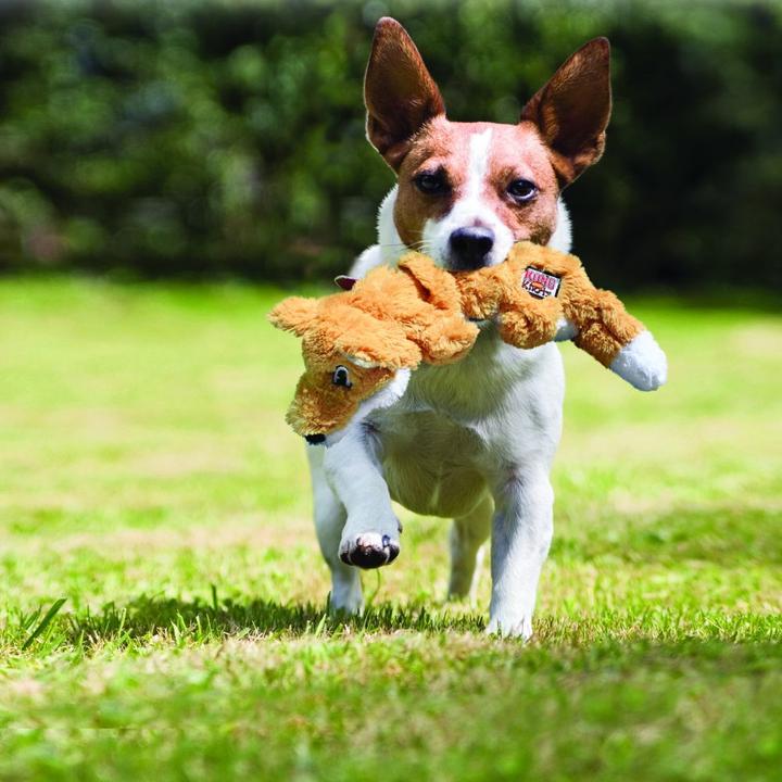 Image du produit KONG 35585454382 Hunde-/Katzenspielzeug (Jouet en peluche chien)