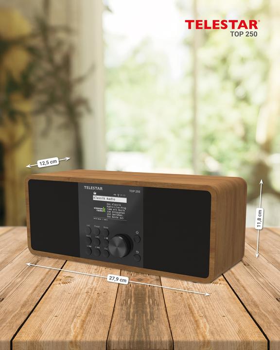 Produktbild Telestar TOP 250 (Internetradio, DAB+, FM, Bluetooth, WLAN)