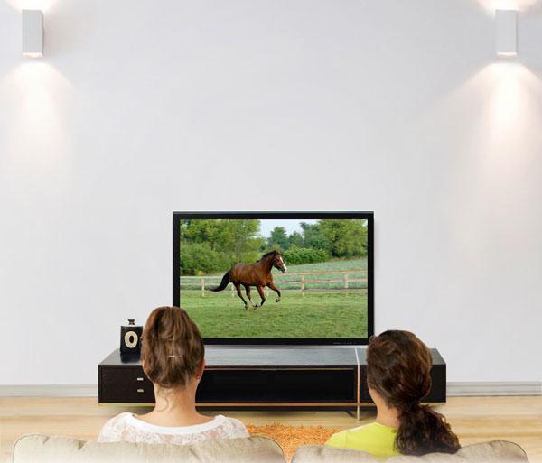 Produktbild Ergotron Glide HD (Wand, 55")