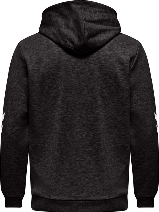 Actual product image hummel Lgc Liam Hoodie (S)