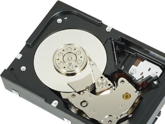 Actual product image Dell W125719630 Internal hard disk 3.5" 450 GB SAS (0.45 TB, 3.5")