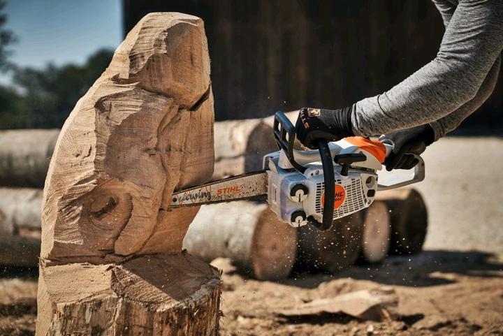 Actual product image Stihl MS 194 CE petrol chainsaw Carving bar length 30 cm (Petrol chain saw)