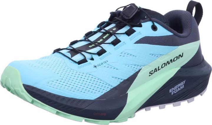 Salomon Sense Ride 5 GTX W 472160 40 (40)
