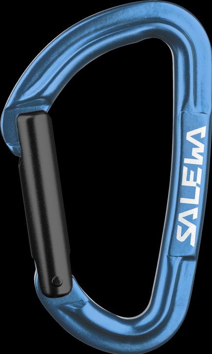 Actual product image Salewa Hot G3 Straight Carabiner
