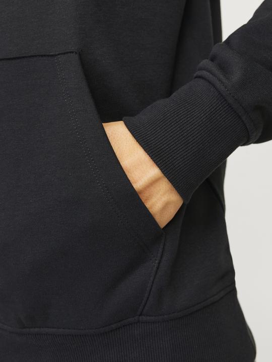 Image du produit Jack & Jones Jorbronx Arch Big Sweat Hood Ln (M)