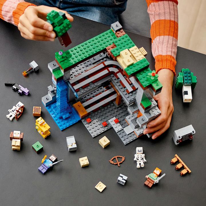 Actual product image LEGO The first adventure (21169, LEGO Minecraft)