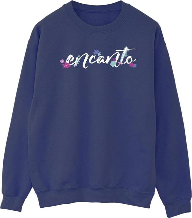 Disney Encanto Logo Sweatshirt (XXL)