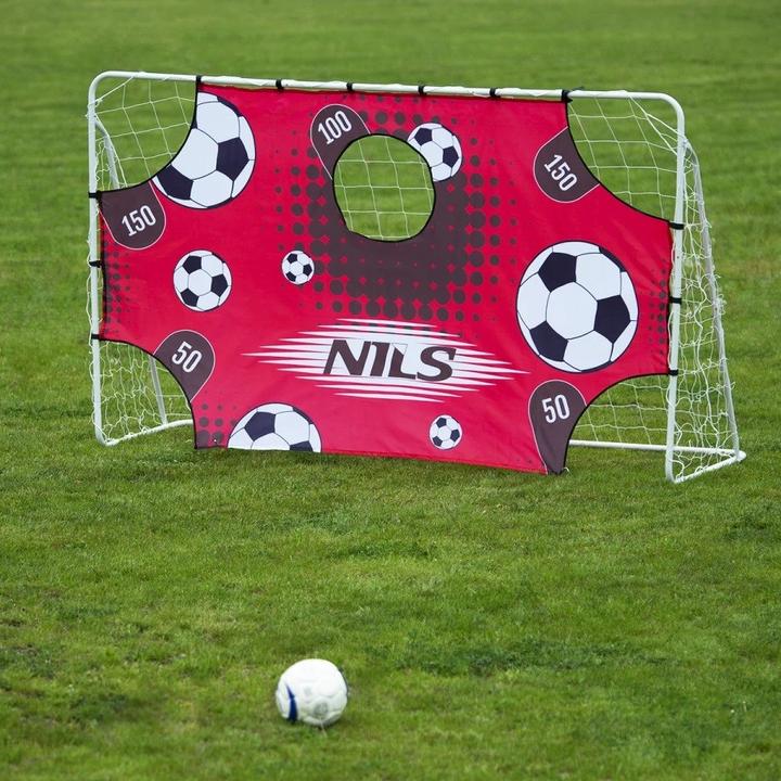Actual product image Nils BR240P 2in1 GATE WITH NET AND TARGET DISC 240x150cm