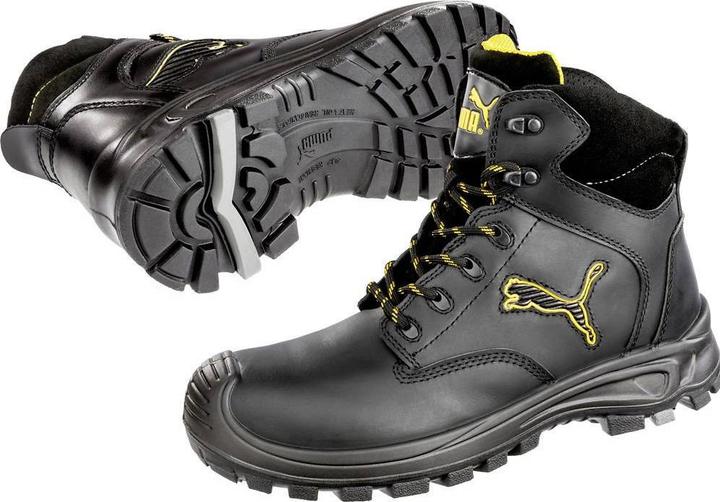 Puma Borneo