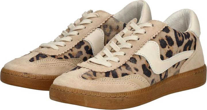 Immagine prodotto Dolce Vita Sneaker (41)