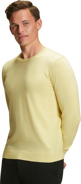 Immagine prodotto Falke Herren Pullover (S)