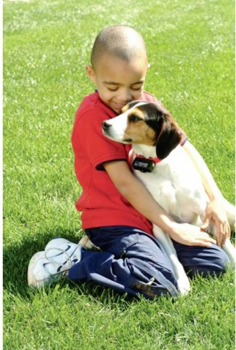 Image du produit PetSafe Collier anti-aboiements (Chien, Général)