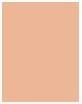Image du produit MAC Cosmetics Studio Radiance Face and Body Radiant Sheer Foundation (W2)