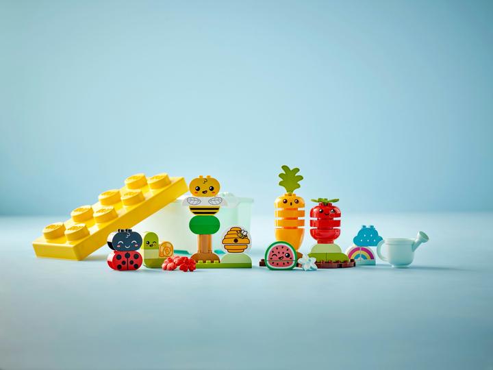 Actual product image LEGO Organic garden (10984)