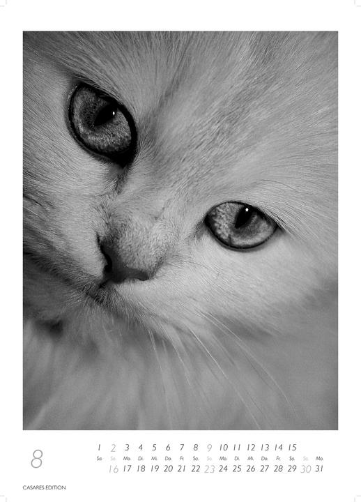 Produktbild Cats 2026 S 29x21cm (29 x 21 cm, Deutsch)