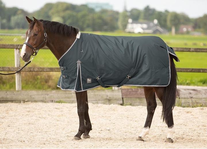 Harry's Horse Thor 300