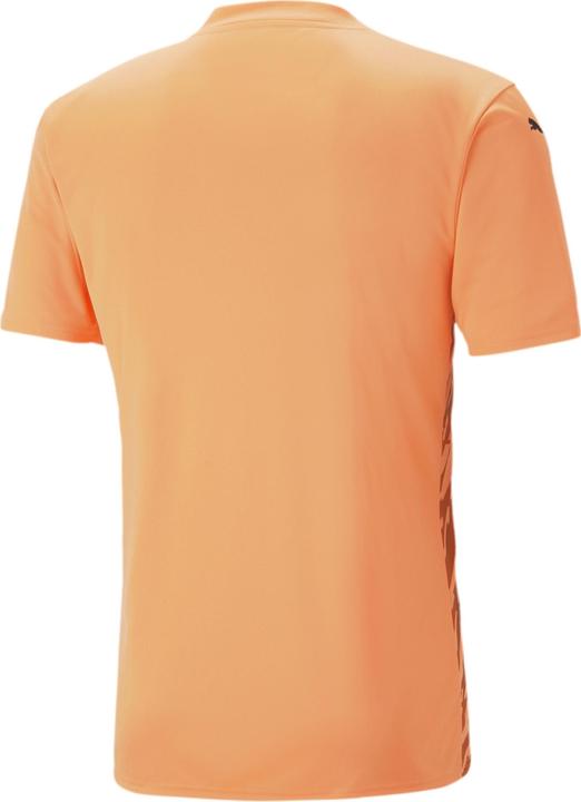 Image du produit Puma teamULTIMATE Jersey (XL)