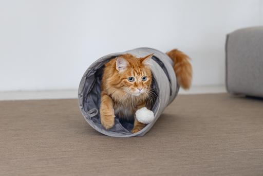 Actual product image Designed by Lotte Cylla (Cat tunnel)