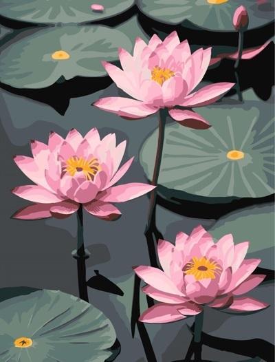 Artist Malen nach Zahlen - Fragile Lotuses 30x40cm