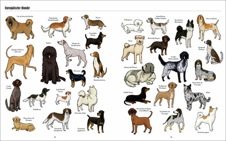 Produktbild Grosse Hunde, kleine Hunde (Deutsch, Jim Medway, Mark Fletcher, 2017)