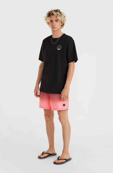 Actual product image O'Neill Jack Cali Gradient 15" Swim Shorts (L)